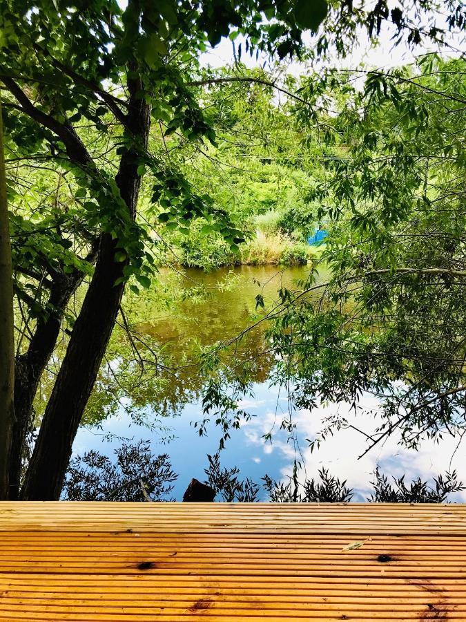 Naabsuite Neustadt an der Waldnaab Exteriör bild